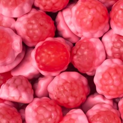 Fresas del Bosque Rellenas bandeja de 795g