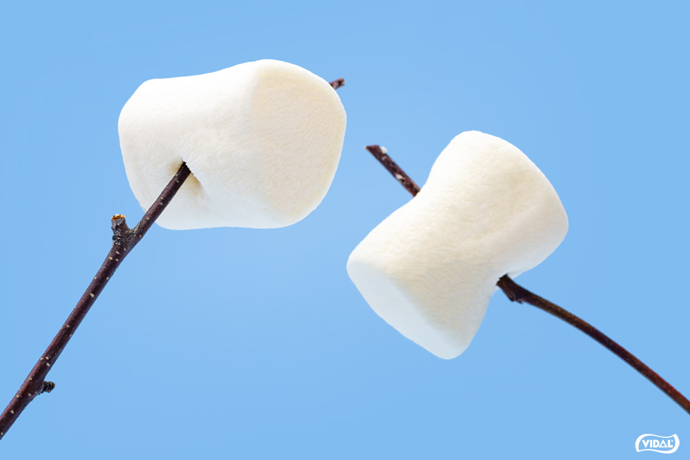  flaming-mallows-nubes-barbacoa